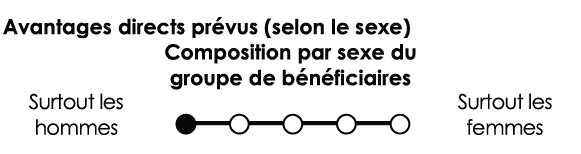 Composition par sexe du groupe de bénéficiaires : Surtout les hommes 